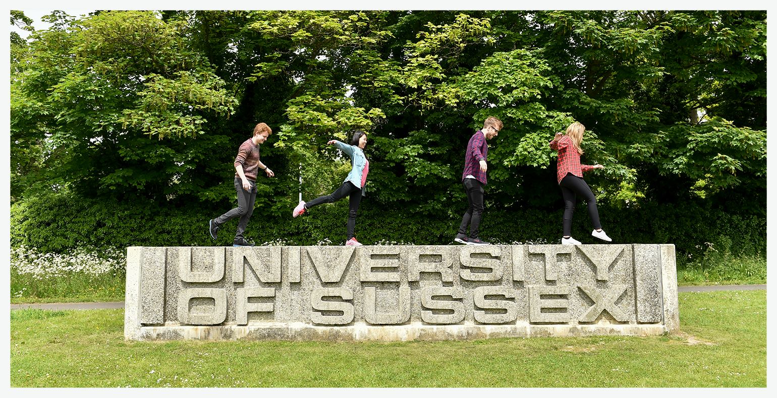 萨塞克斯大学 萨塞克斯大学