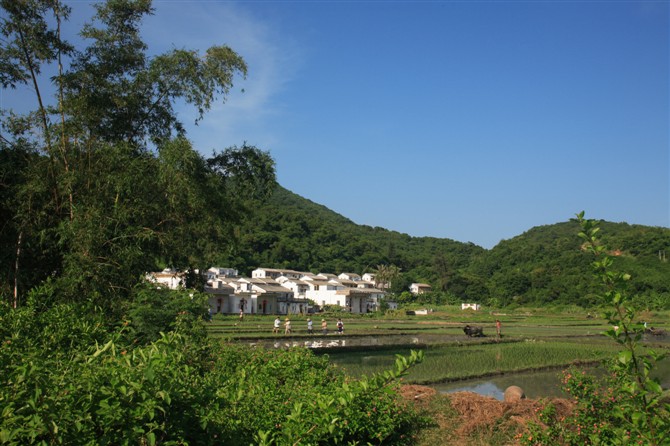 川岛镇 川岛镇