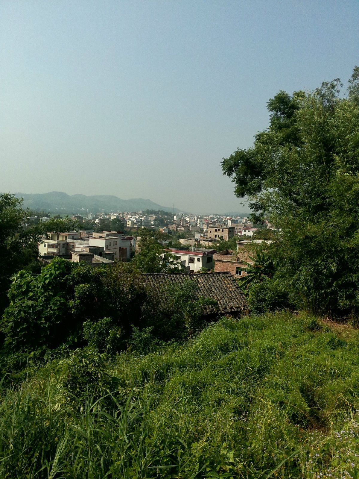 福岭村(广东省梅州市五华县安流镇下辖村) 福岭村(广东省梅州市五华县安流镇下辖村)