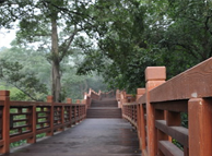 中山陵木栈 中山陵木栈
