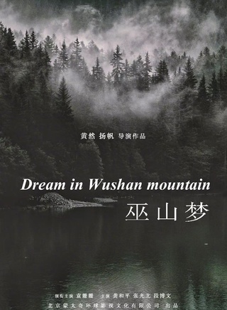 段博文