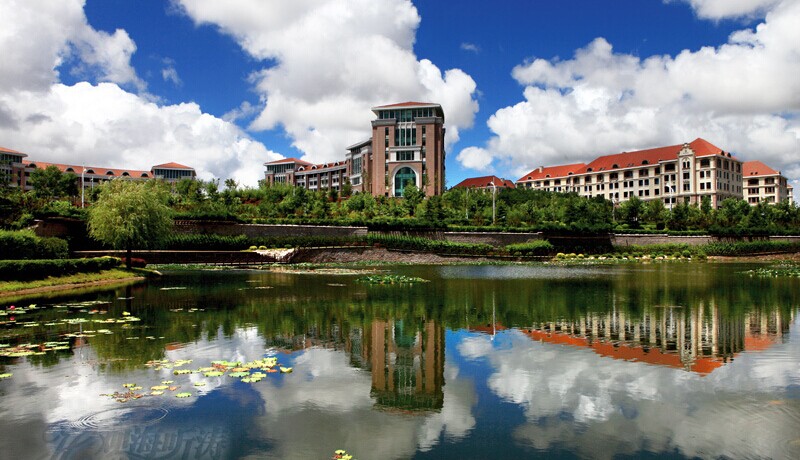 中国大学 中国大学