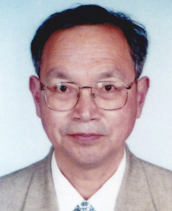 魏晋南北朝史 魏晋南北朝史
