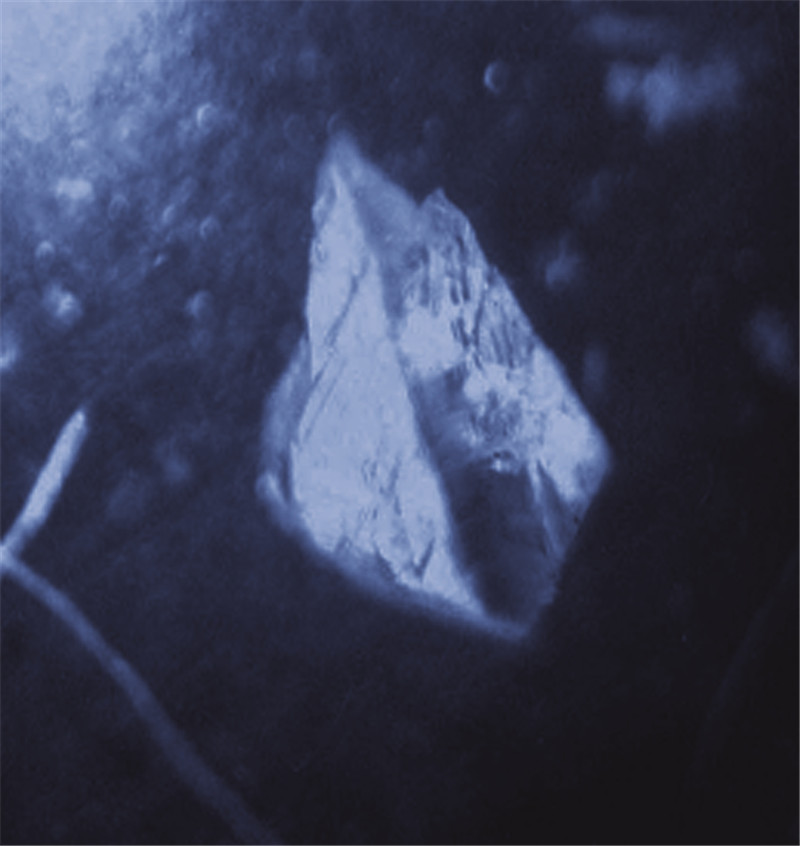 含金刚石的榴辉岩 含金刚石的榴辉岩