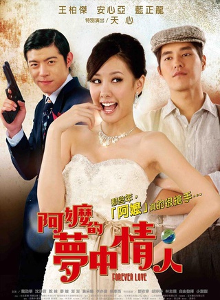 王柏杰(中国台湾影视男演员)