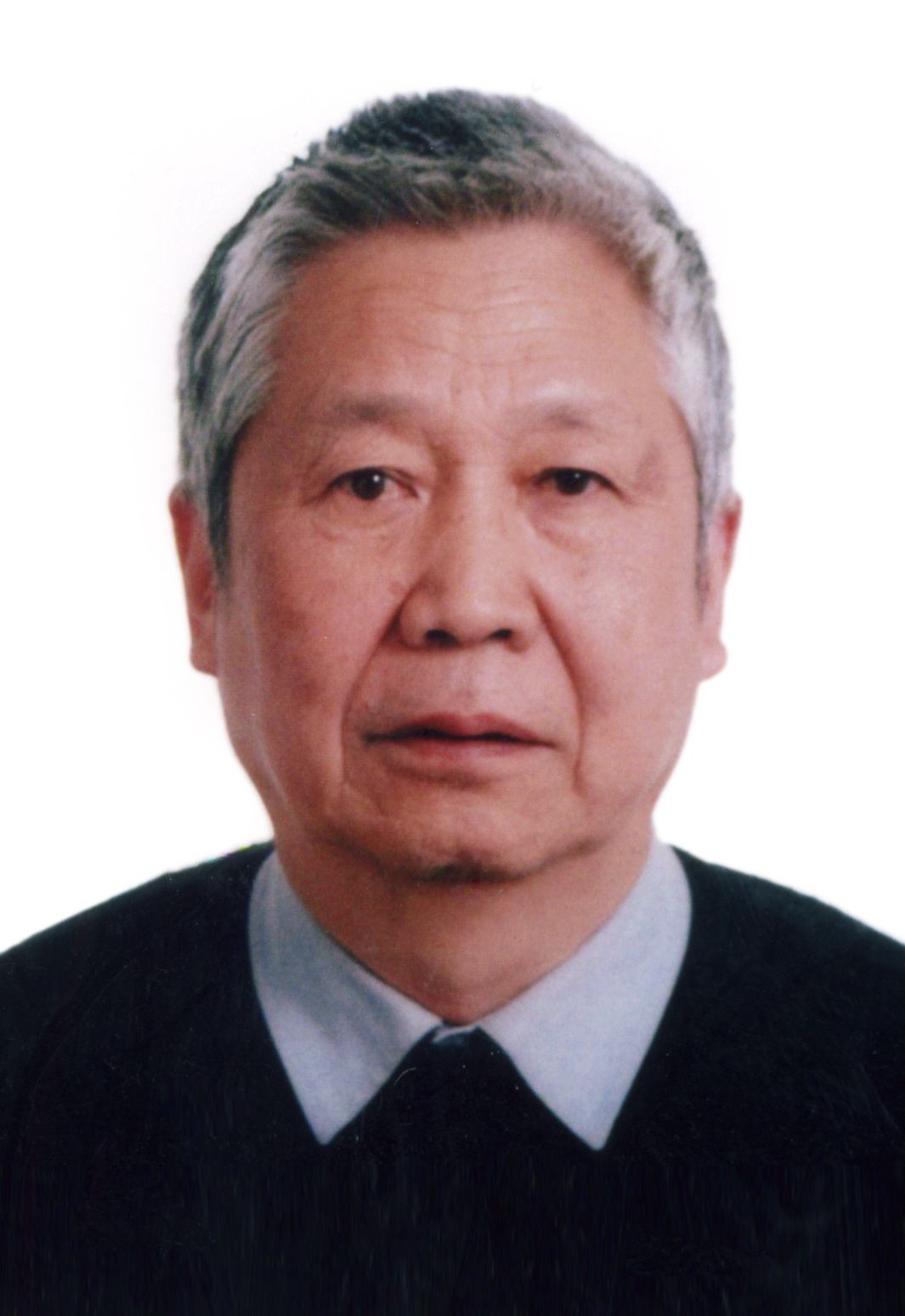 张肇西 张肇西