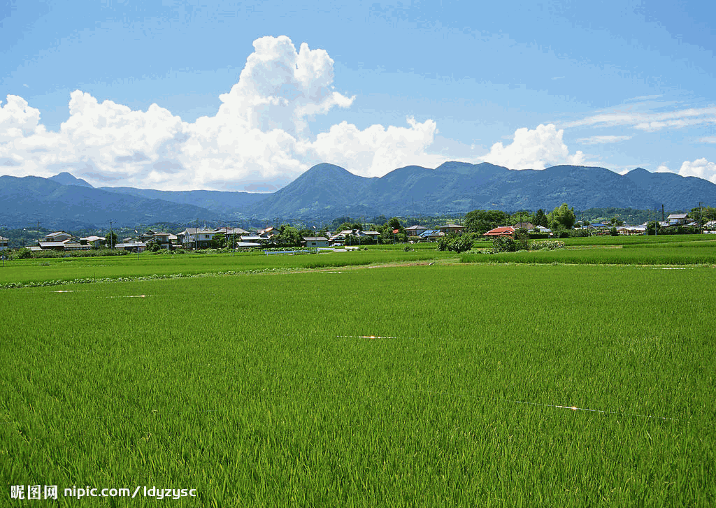 田园诗 田园诗