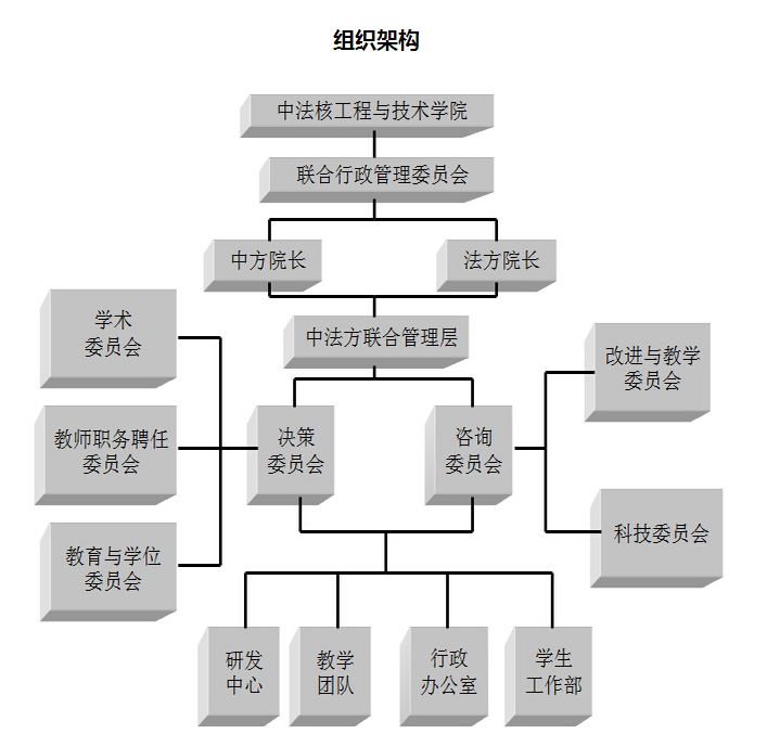 组织架构 组织架构