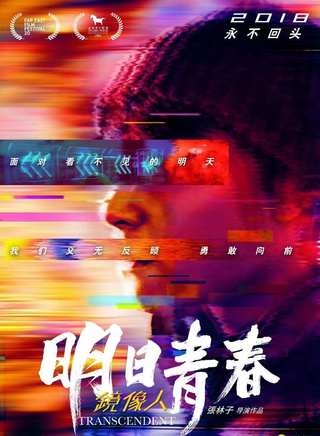 王柏杰(中国台湾影视男演员)
