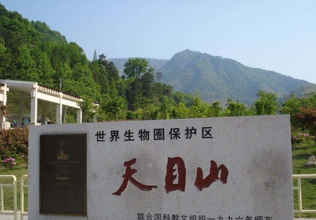 天目山生物圈保护区 天目山生物圈保护区