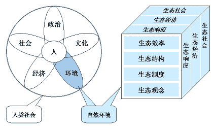 生态现代化研究的巨观结构示意图 生态现代化研究的巨观结构示意图