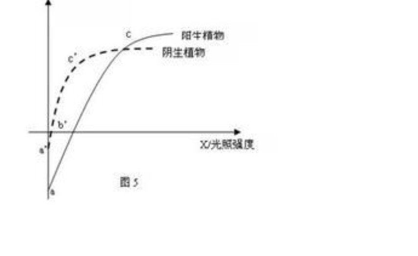 光照强度与光合作用强度曲线图 光照强度与光合作用强度曲线图