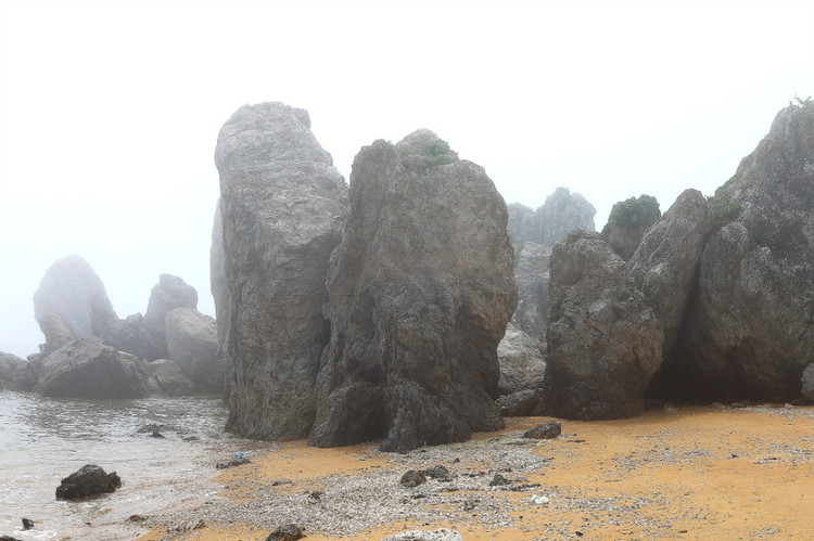 城山头海滨地貌国家级自然保护区 城山头海滨地貌国家级自然保护区