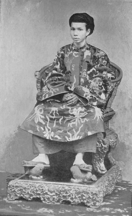 鹹宜(越南阮朝年号) 鹹宜(越南阮朝年号)