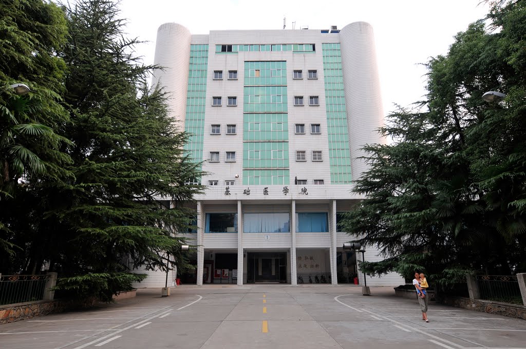 武汉大学基础医学院 武汉大学基础医学院