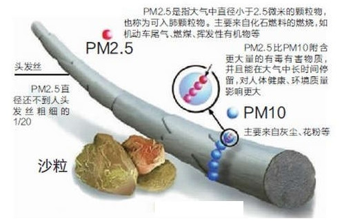 颗粒物污染 颗粒物污染