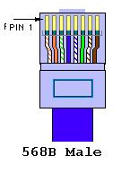 568B接法图 568B接法图