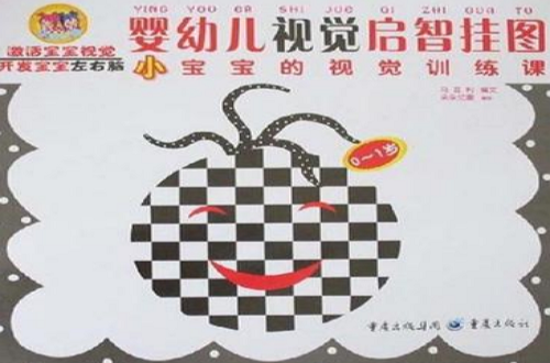 小宝宝的视觉训练课(婴幼儿视觉启智挂图:小宝宝的视觉训练课(0-1岁)) 小宝宝的视觉训练课(婴幼儿视觉启智挂图:小宝宝的视觉训练课(0-1岁))