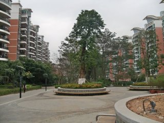 桃源居首府实景图 桃源居首府实景图