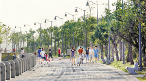 深圳湾公园 深圳湾公园
