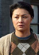 人活一张脸(2009年吕丽萍主演电视剧)