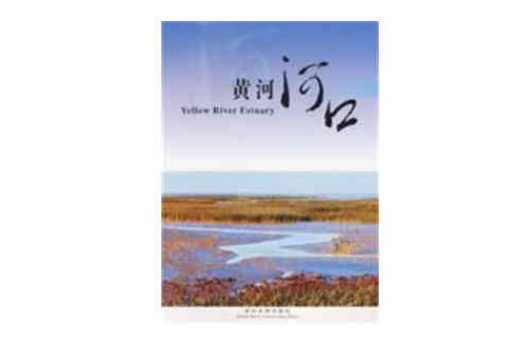 黄河河口 黄河河口