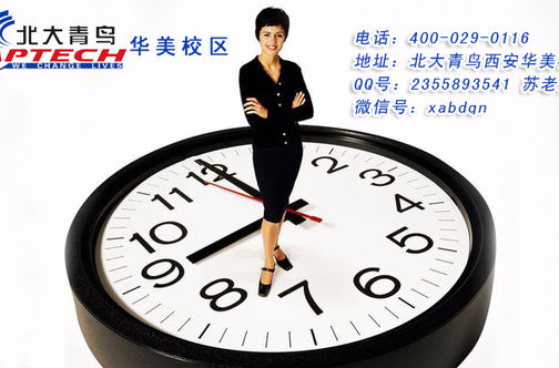 IT审计师 IT审计师