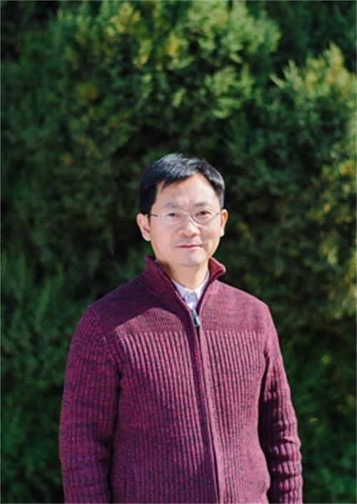 杨柳新 杨柳新