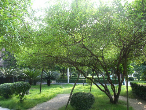 东溪公园 东溪公园