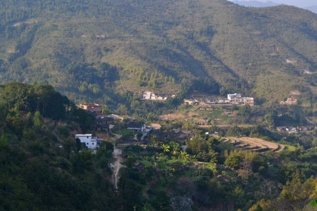 李子坪村(云南省兰坪白族普米族自治县中排乡下辖村) 李子坪村(云南省兰坪白族普米族自治县中排乡下辖村)