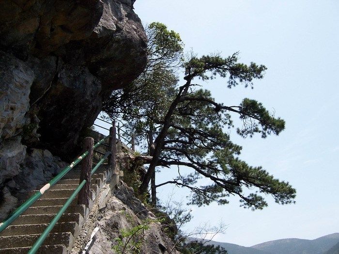 龙泉山(浙江省宁波市龙泉山) 龙泉山(浙江省宁波市龙泉山)