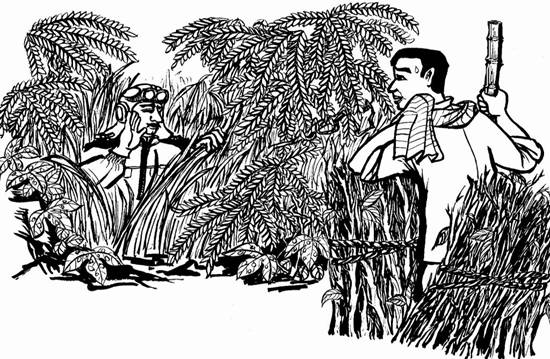 棠下村人营救美国飞行员(陆霄菡画) 棠下村人营救美国飞行员(陆霄菡画)