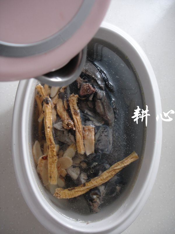 党参黄芪乌鸡汤