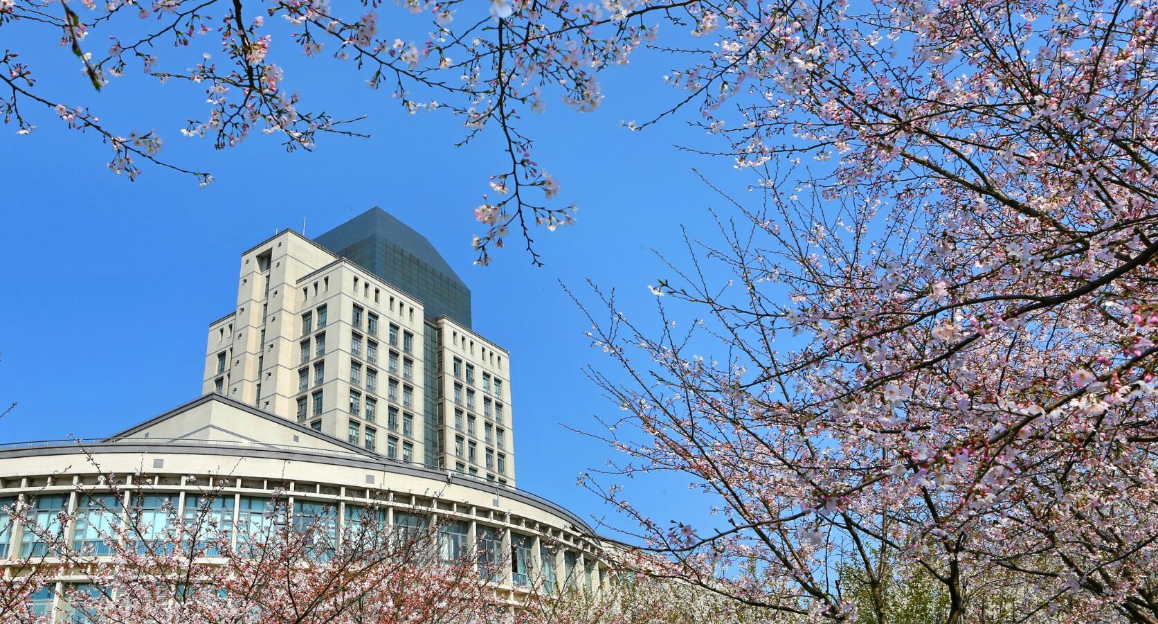 校园风景 校园风景