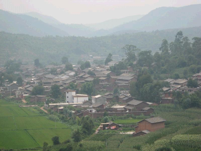 天城村 天城村