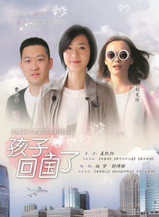 赵丽娟(娟子（影视演员）)