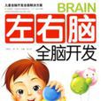 左右脑全脑开发(2-3岁) 左右脑全脑开发(2-3岁)