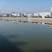 防洪堤 防洪堤
