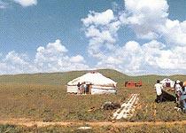 呼和诺尔草原 呼和诺尔草原