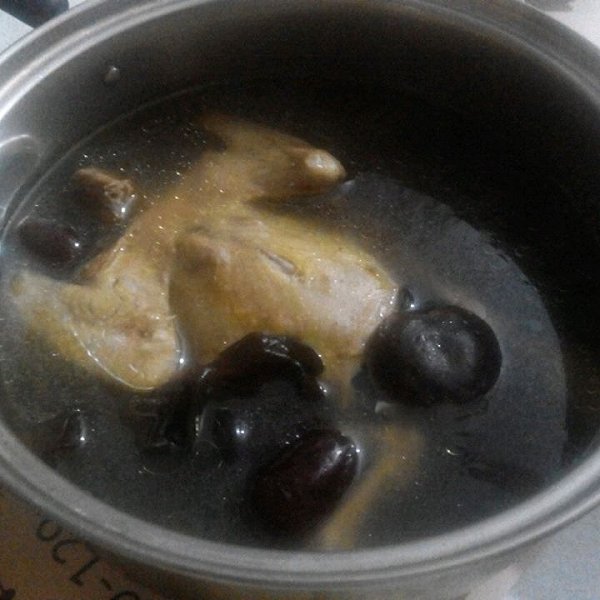 清炖鸽子 清炖鸽子