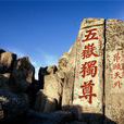 泰山(世界文化与自然双重遗产,国家5A级旅游景区) 泰山(世界文化与自然双重遗产,国家5A级旅游景区)