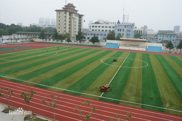 滕州市北辛中学 滕州市北辛中学