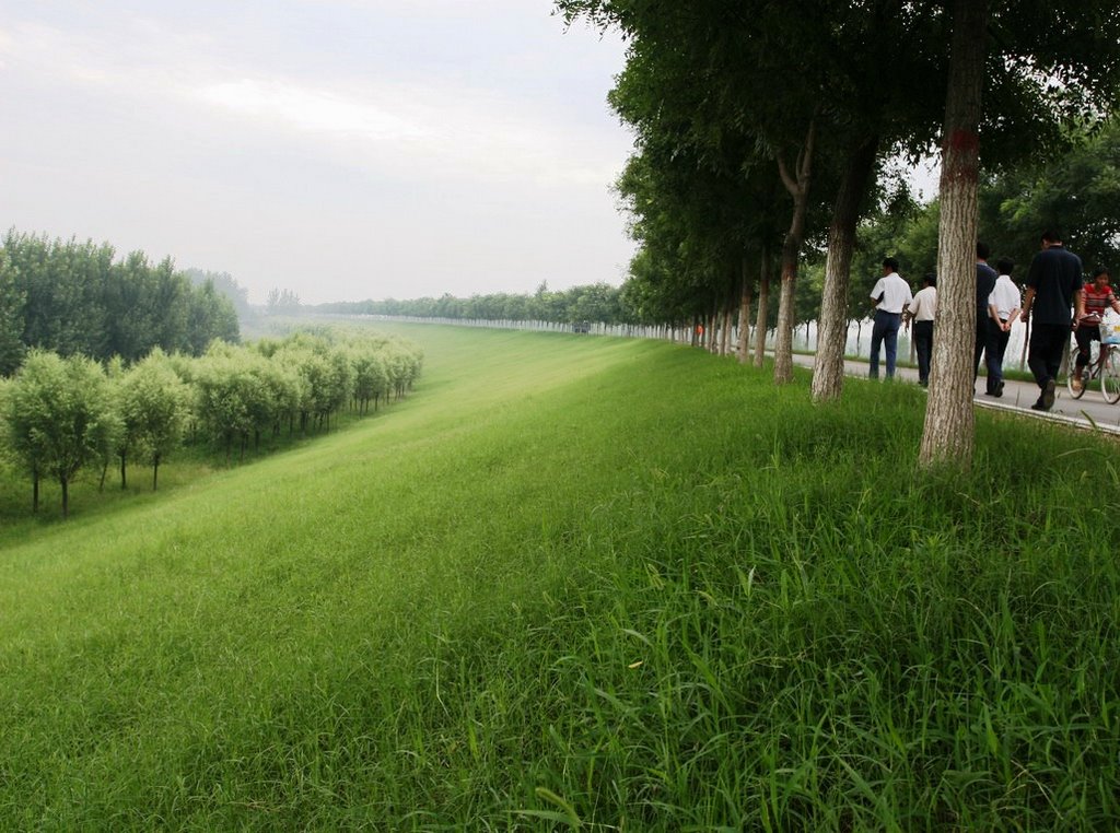 甄台村 甄台村