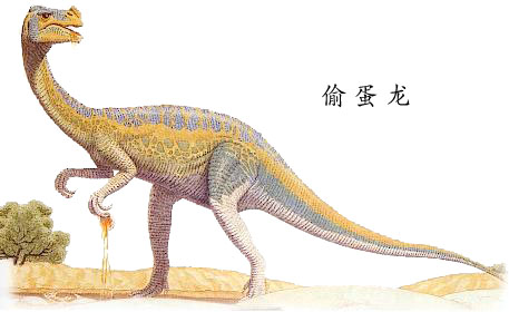 偷蛋龙 偷蛋龙
