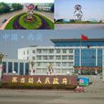 西岗镇(山东省枣庄市下辖镇) 西岗镇(山东省枣庄市下辖镇)
