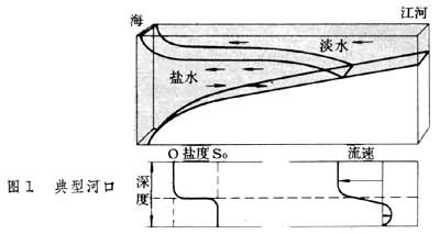 河口生态 河口生态