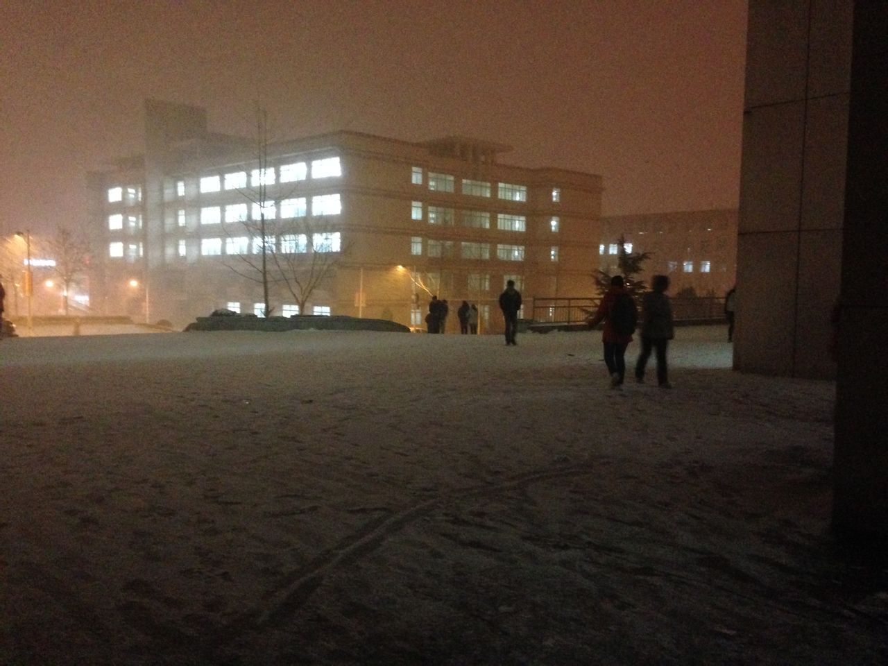 鲁大之夜 鲁大之夜