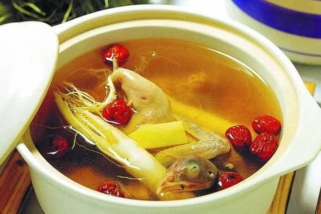 银耳红枣乳鸽汤 银耳红枣乳鸽汤