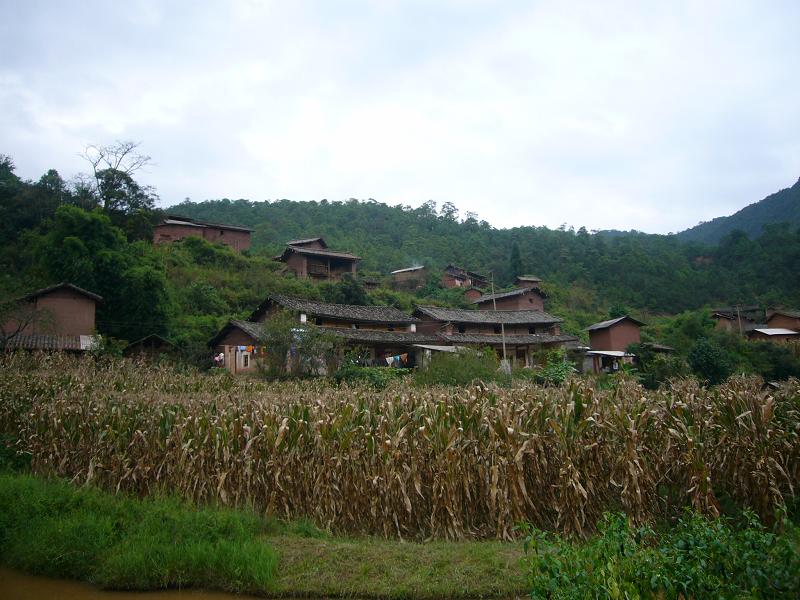 大庄科村(云南禄丰县中村乡下辖村) 大庄科村(云南禄丰县中村乡下辖村)