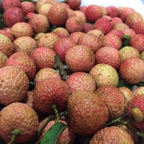 东莞荔枝 东莞荔枝